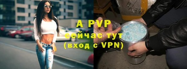 хмурый Михайлов