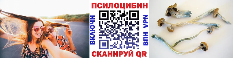Галлюциногенные грибы Cubensis  цена наркотик  Южно-Сахалинск 